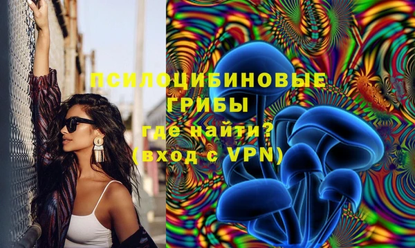 ALPHA-PVP Богородицк