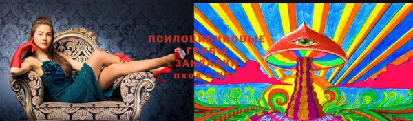 кокаин премиум Богданович