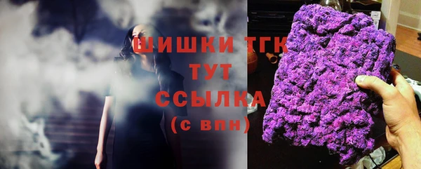 соль ск Богородск