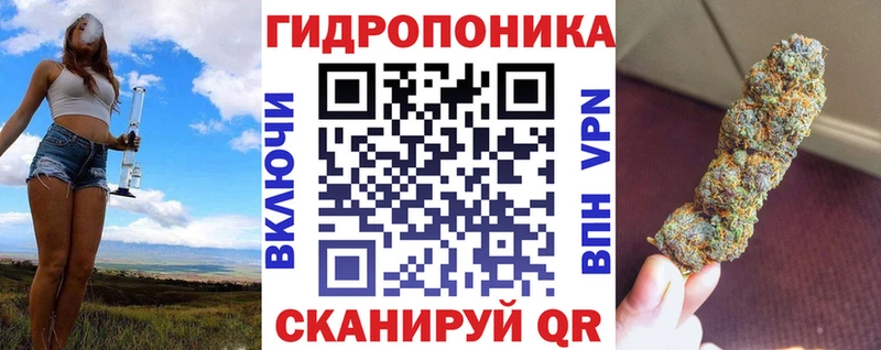 Купить закладки  Нерюнгри  Конопля семена 